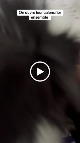 Customer video review of Le Calendrier de l'Avent Magic'Bunny