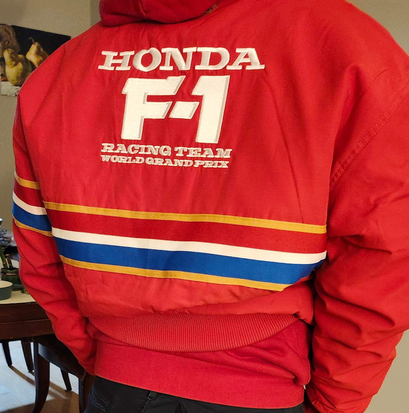 Customer photo review of 1986 Honda F1 Team Aviator Jacket (Red)