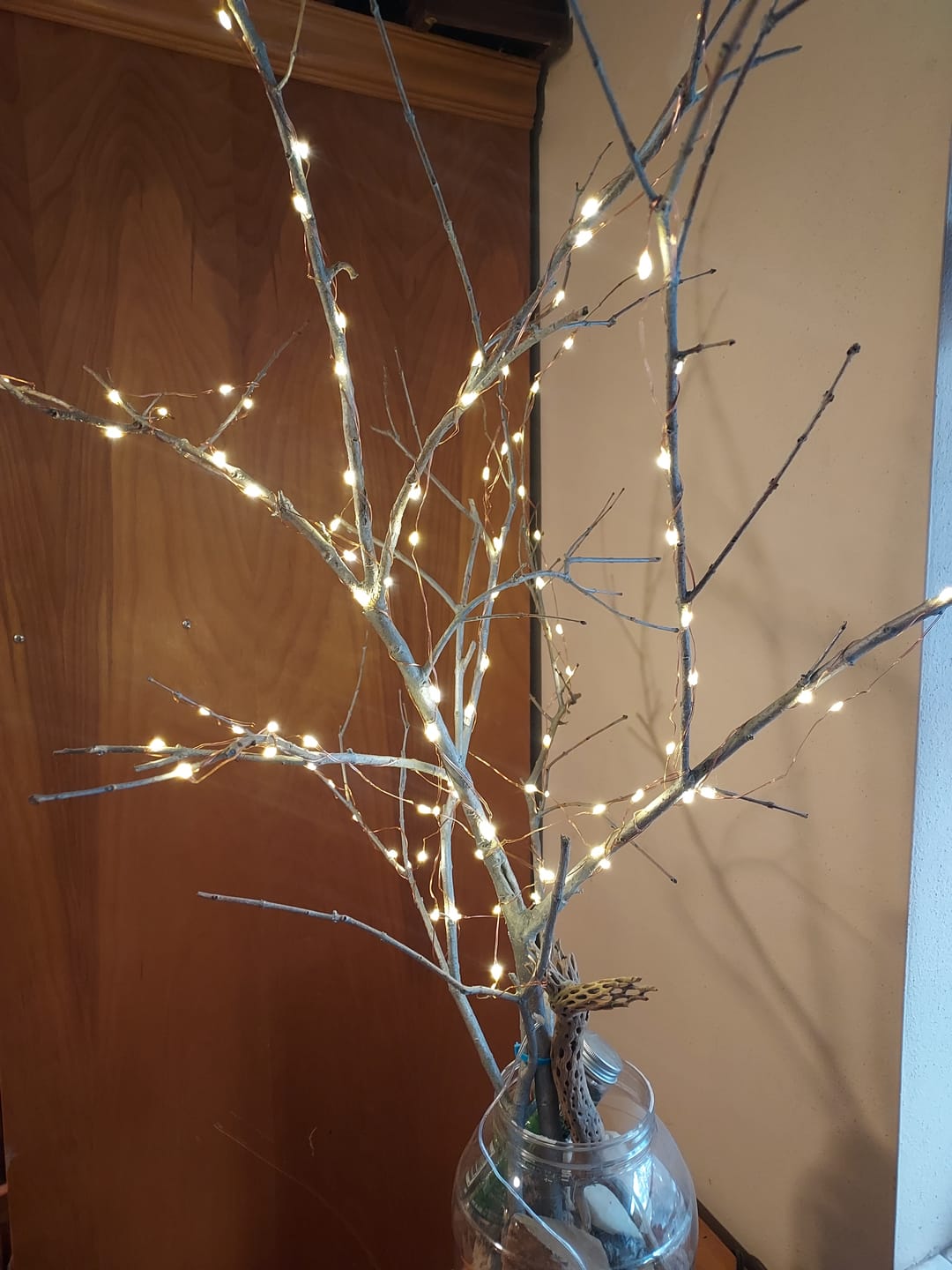 Customer photo review of 33 FT | 100 LED Warm White Waterproof Copper Wire Micro Fairy String Lights with AC Plug-In Power