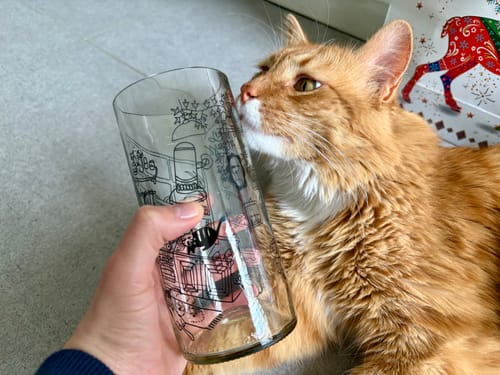 Customer photo review of Cat Lover Juego de 6 Vasos Gatunos 500ML