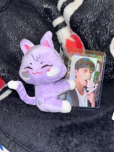 Customer photo review of ATEEZ - ANITEEZ IN ICE CITY 2ND OFFICIAL MD PLUSH PHOTOCARD HOLDER