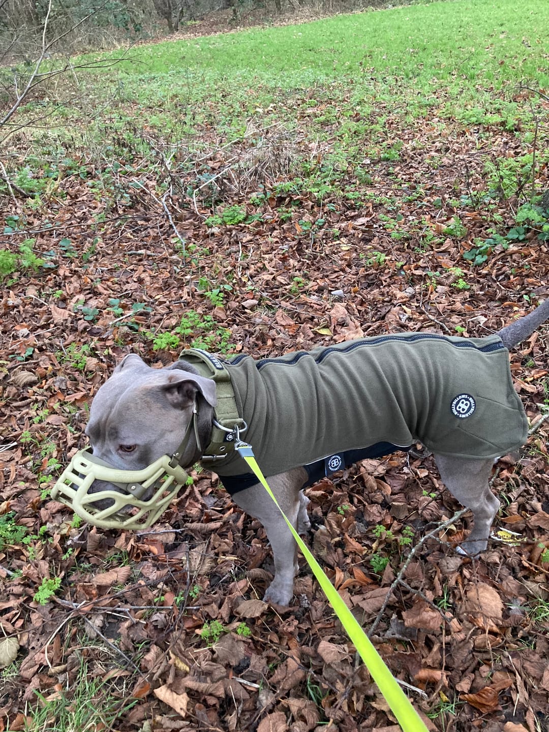 Customer photo review of Dog Fleece With Zip - Khaki