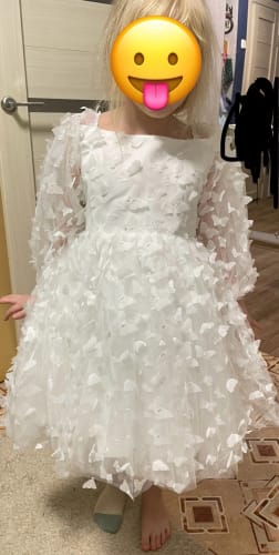 Customer photo review of 3D Butterfly Puff Sleeve Dress