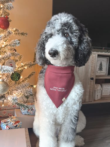 Customer photo review of Custom Saying Embroidered Bandana