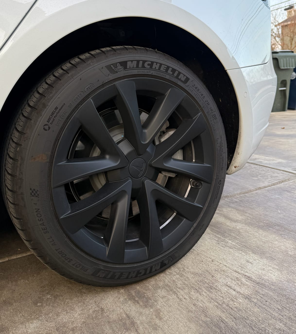 Customer photo review of TESPLUS 18'' Arachnid Style Wheel Cover for Model 3