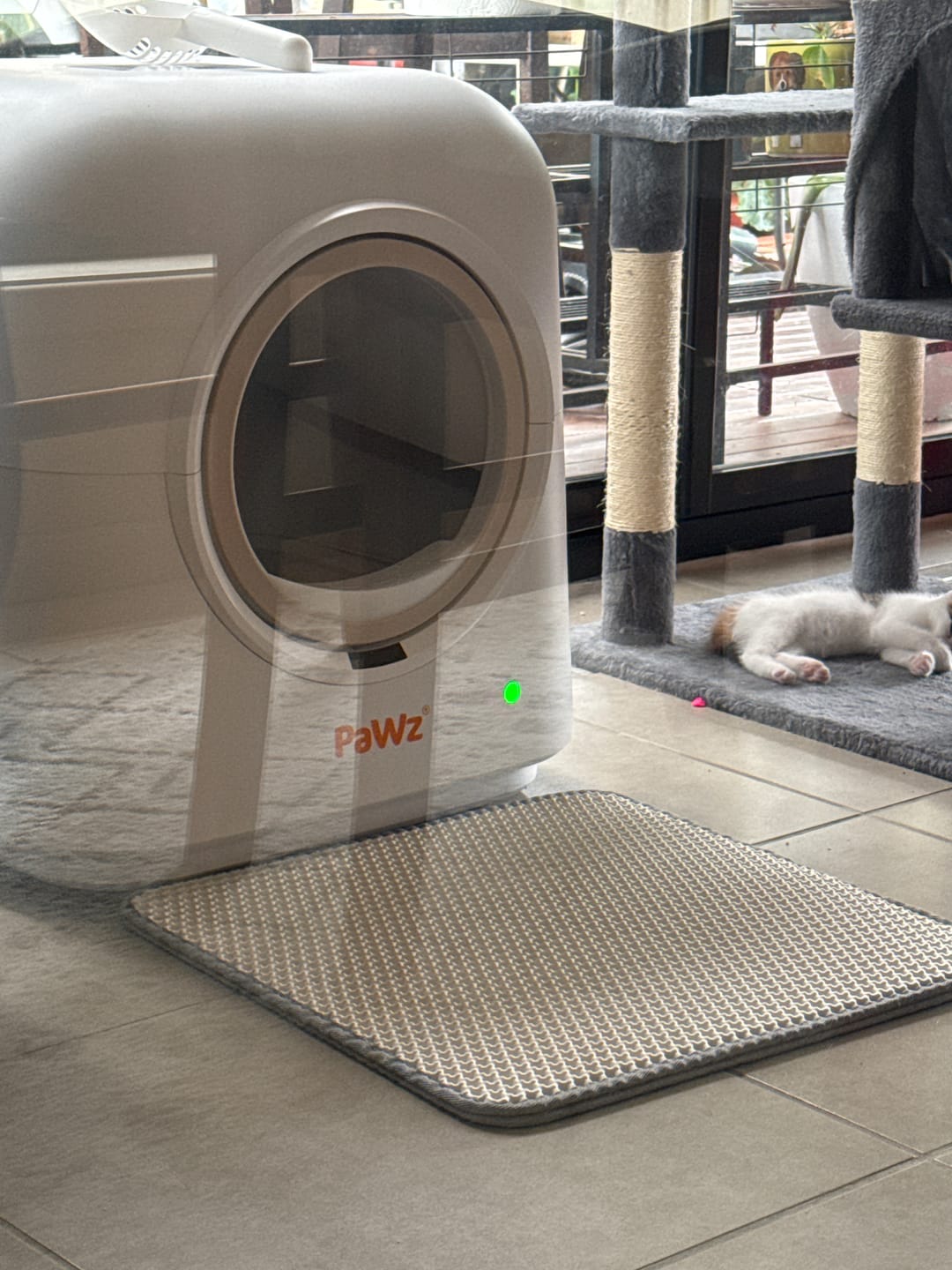 Customer photo review of Pawz Smart Cat Litter Box Automatic Self Cleaning with App Remote Control