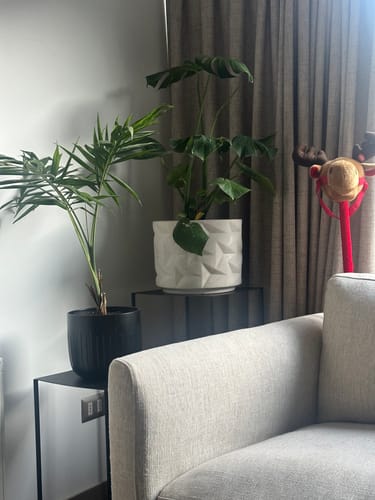 Customer photo review of Set lateral macizo 10 METAL BLACK