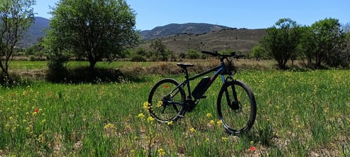 Customer photo review of Electric Mountain Bike M1