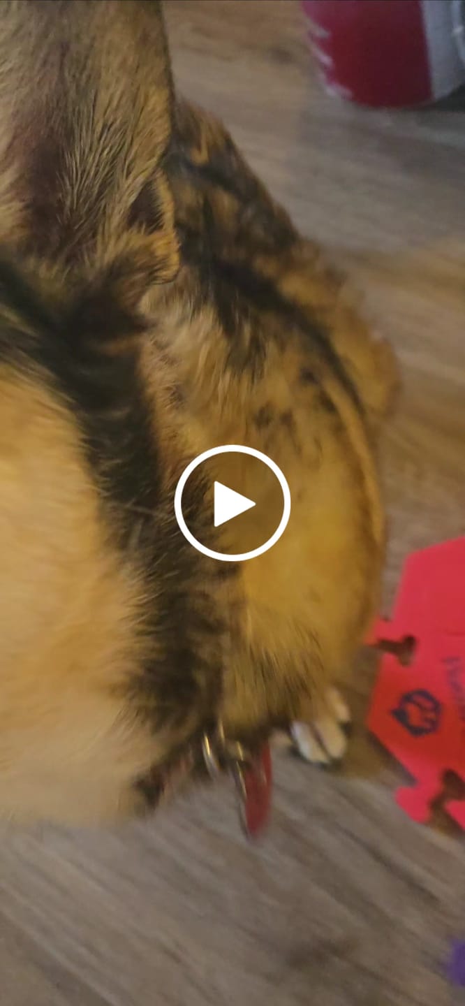 Customer video review of Speak Up Key Vocab Kit