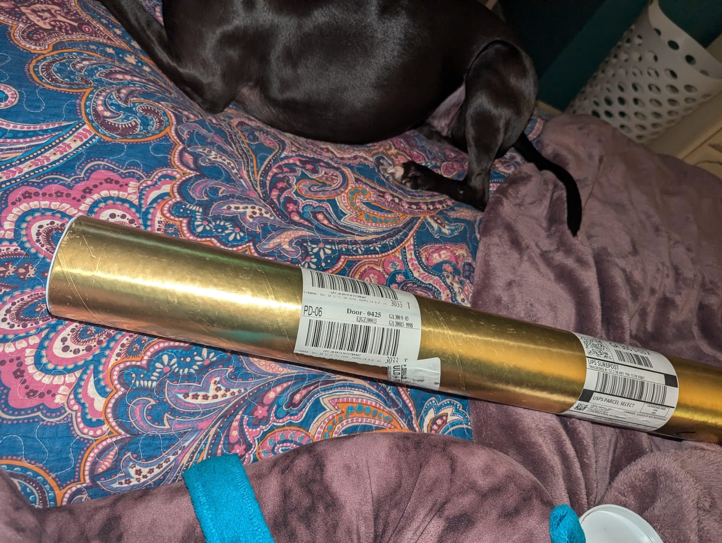 Customer photo review of Shipping Protection by Route