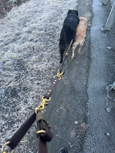 Customer photo review of Multi Dog Attachment