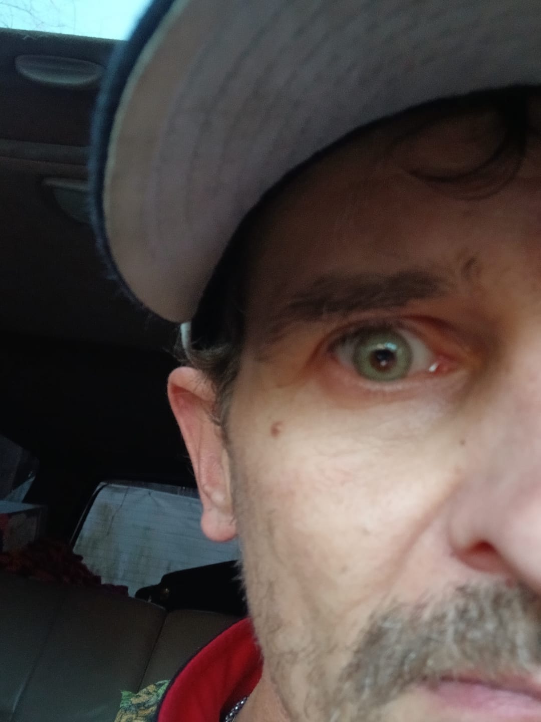 Customer photo review of Wildcat Green Prescription Colored Contact Lenses