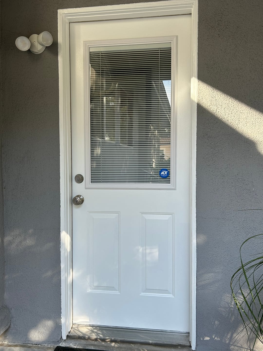 Customer photo review of Half Lite Frame Kit