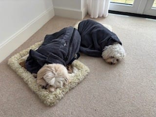 Customer photo review of Luxury Dog Drying Bag