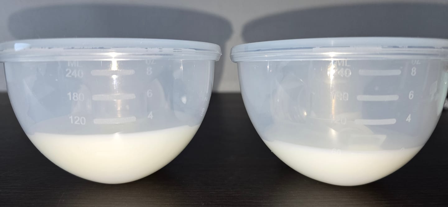 Customer photo review of Silicone Hands Free Collection Cups