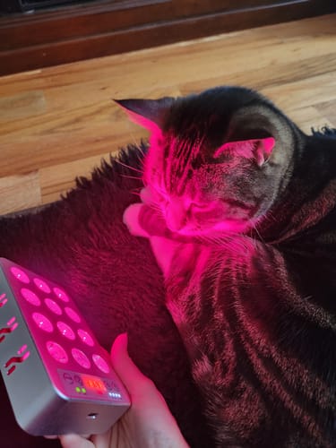 Customer photo review of Target Light 3.0 Handheld Red Light Therapy