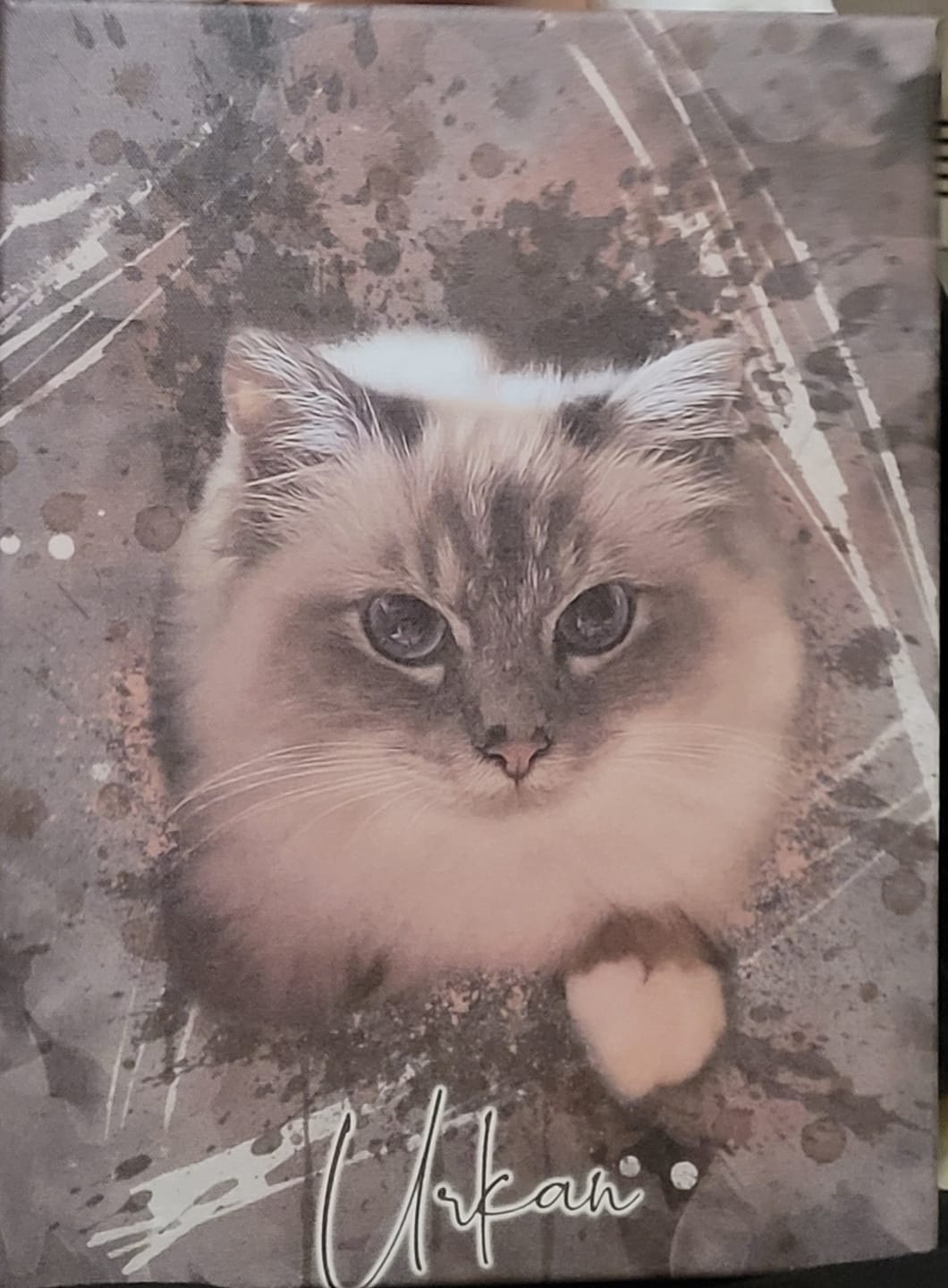 Customer photo review of Portrait Aqua Art