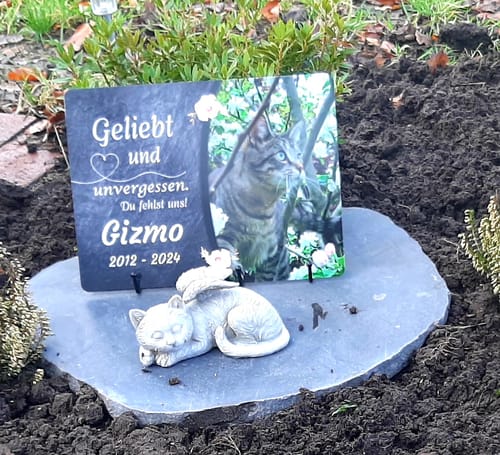 Customer photo review of Katzen Gedenktafel mit Foto & Spruch (UV- & Wetterfest)