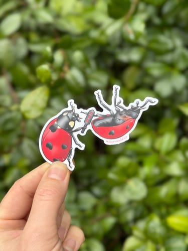 Customer photo review of Custom Sticker Sale