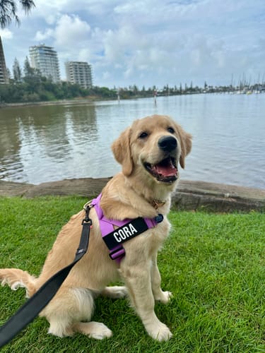 Customer photo review of Custom Name Patches