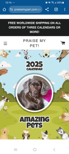 Customer photo review of PUPVOTE: 2025 Cutest Pet Calendar (Official Edition)