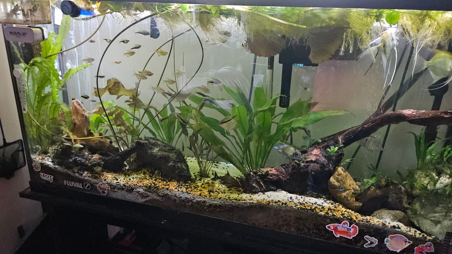 Customer photo review of Xtreme Nice Crumbles 0.5 mm Slow Sinking