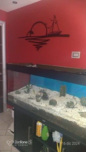 Customer photo review of Décoration murale en métal - Lever du soleil