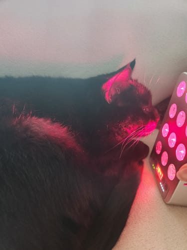Customer photo review of Target Light 3.0 Handheld Red Light Therapy