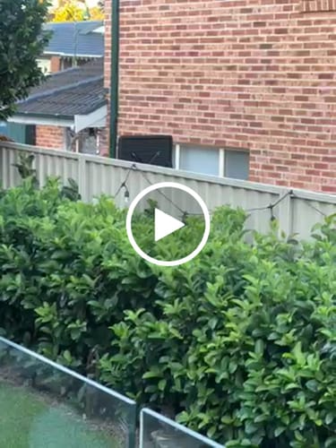 Customer video review of GardenBrite™ Solar Festoon Light Pack (2025 Edition)