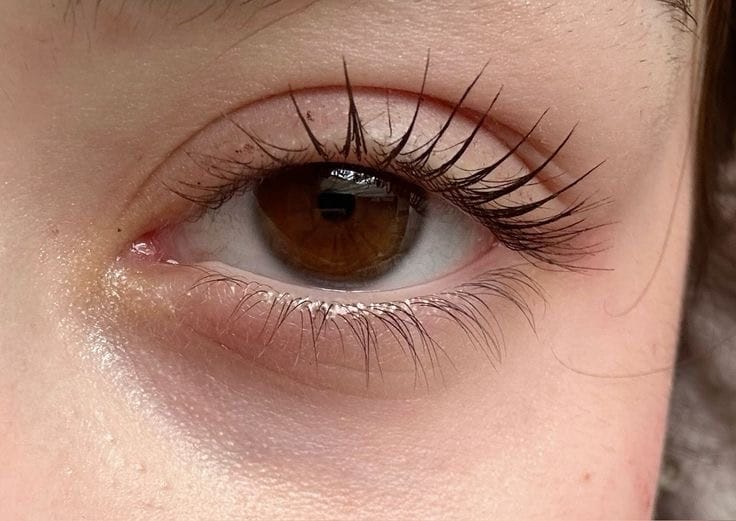 Customer photo review of Eyeling Dark Brown