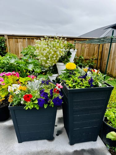 Customer photo review of Taper Square Planter 40cm