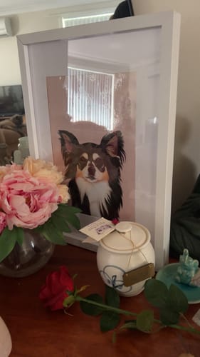 Customer photo review of Detailed Pet Portrait