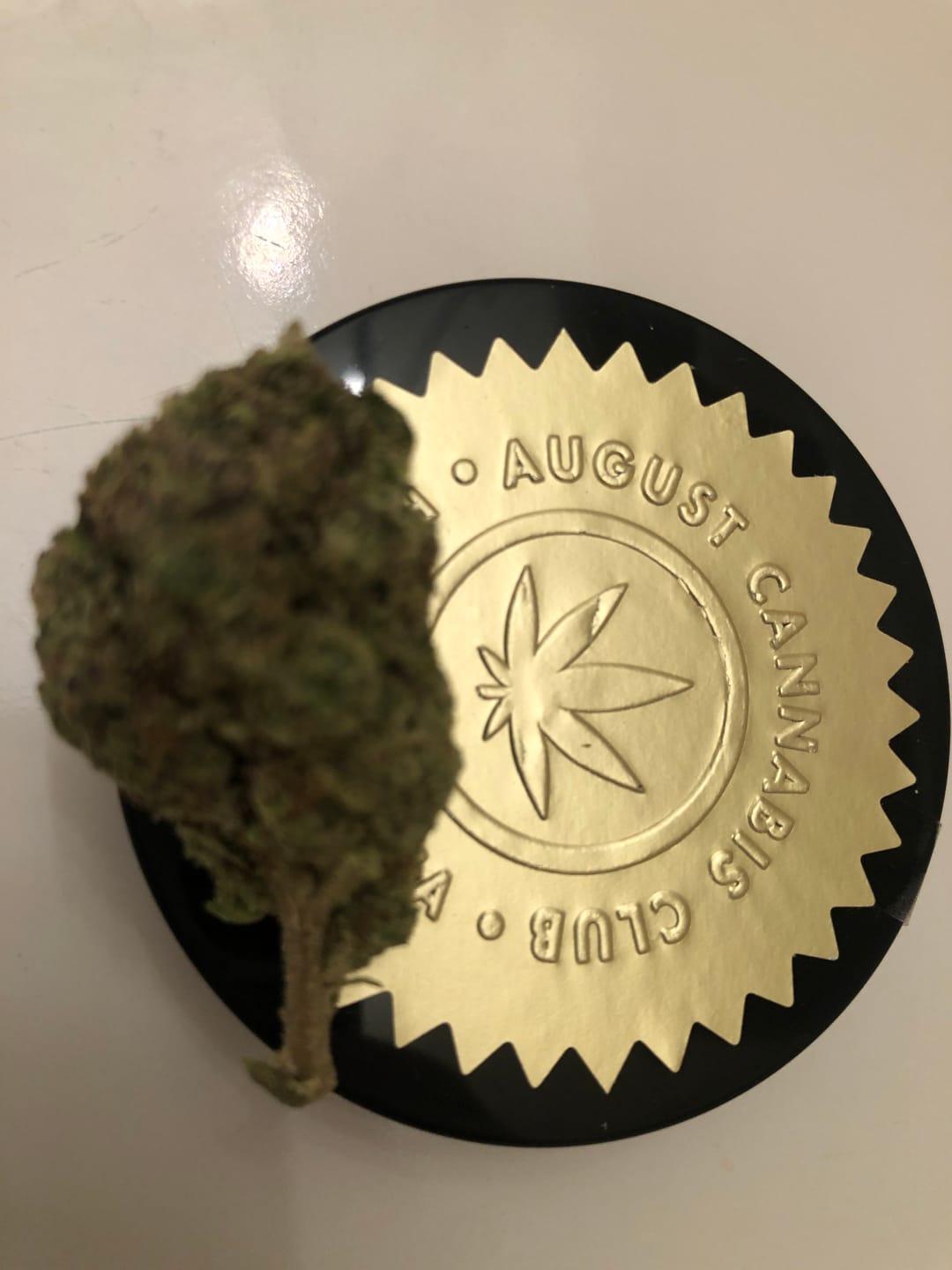 Customer photo review of 9LB Hammer