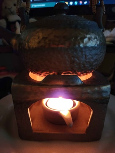 Customer photo review of Plum Blossom Rock Clay Teapot Warmer