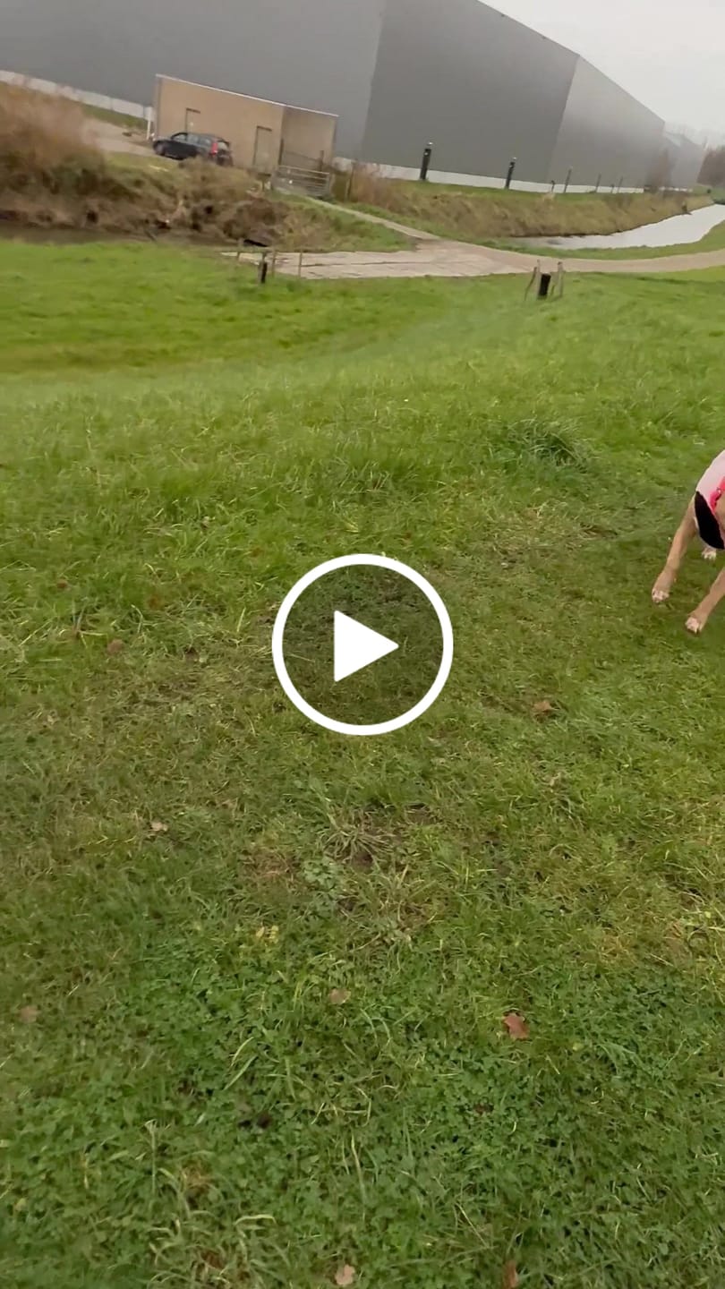 Customer video review of Dog Fleece With Zip - Pink