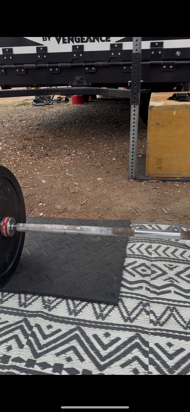 Customer photo review of Barbell Rescue Nylon Brush