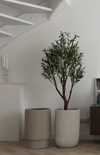 Customer photo review of Kunst Olijfboom 150cm
