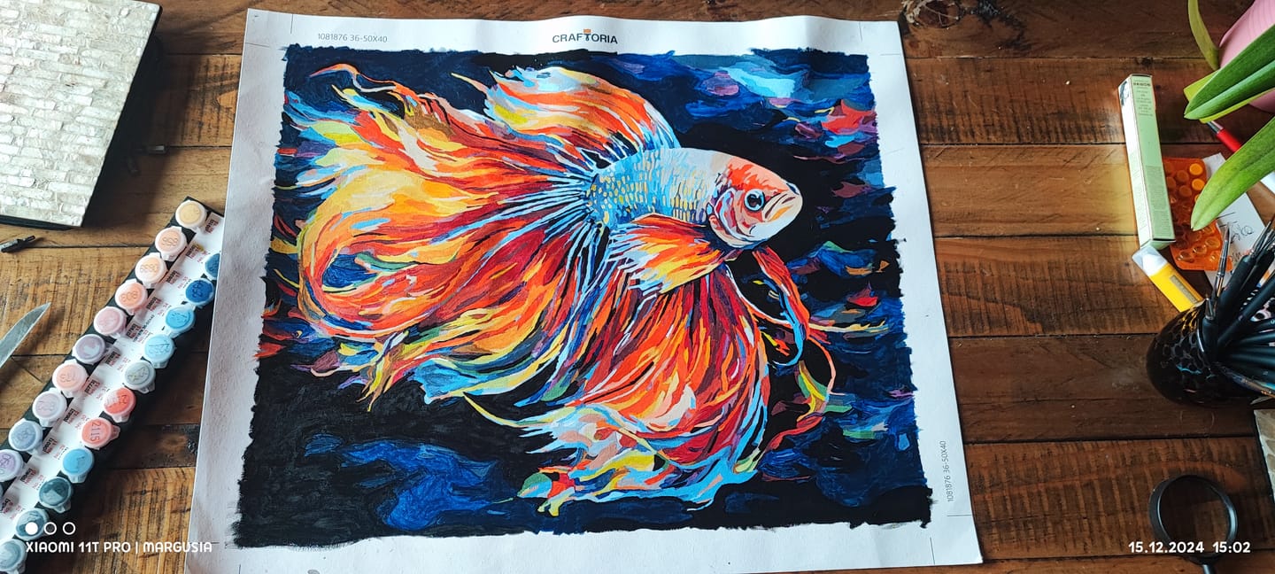 Customer photo review of Rainbow Beta Fish
