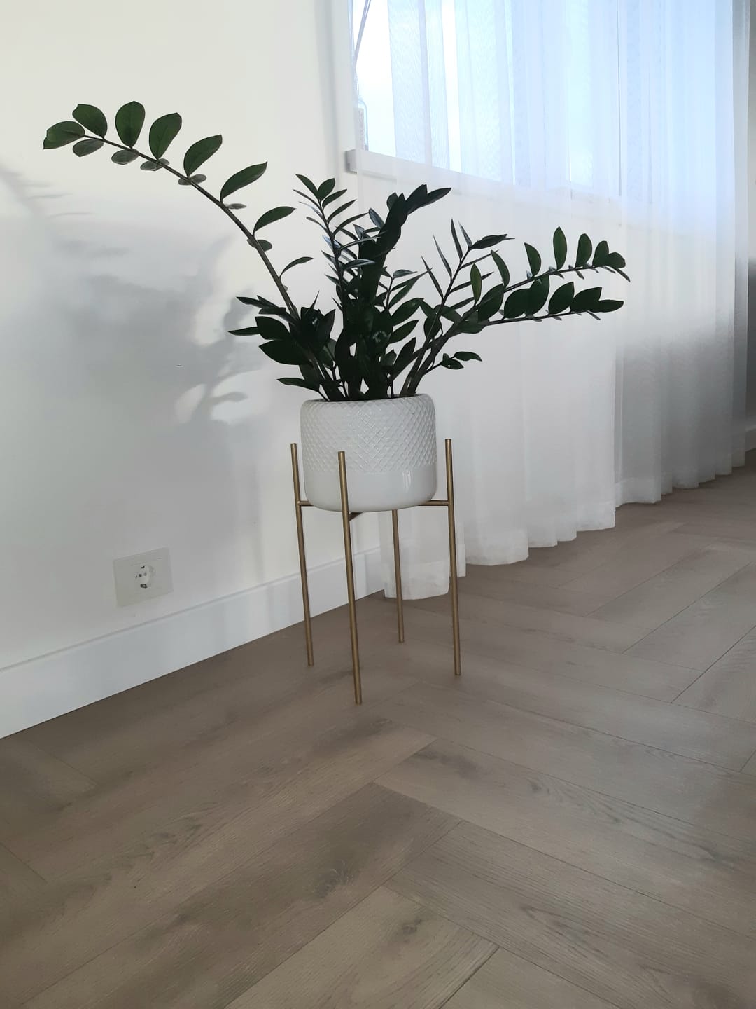 Customer photo review of Siuntos ruošimas