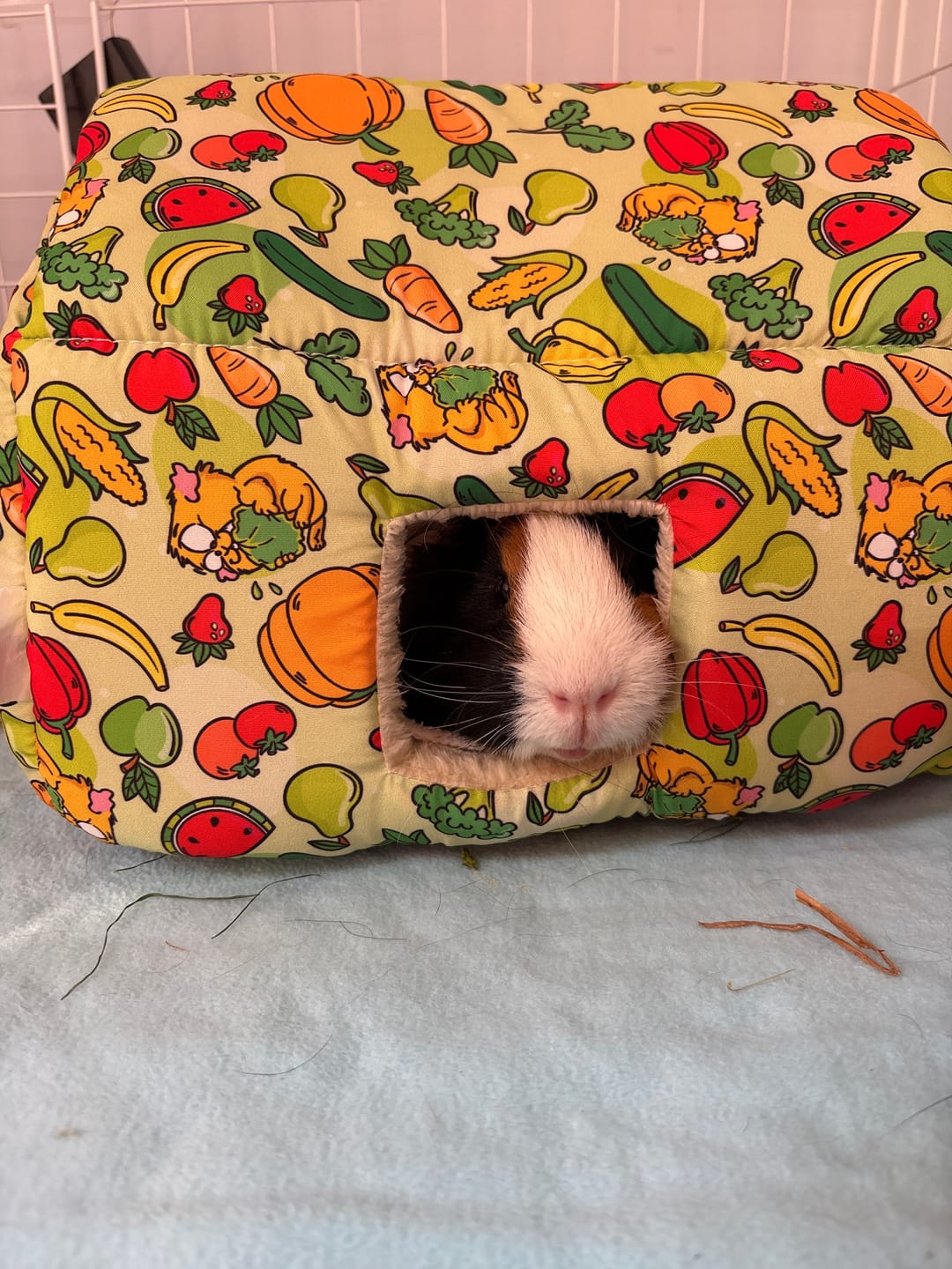 Customer photo review of Cosy Cottage