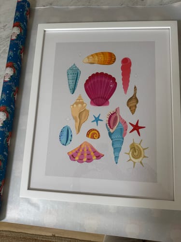 Customer photo review of Seashells By Petra Lizde | Art Print