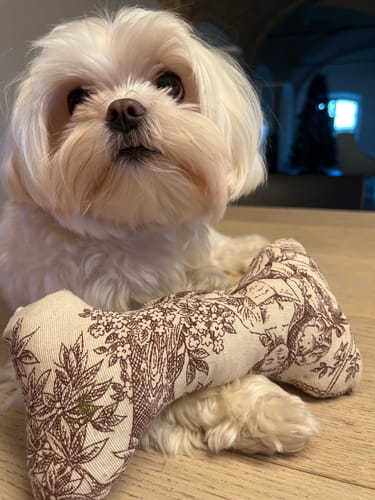 Customer photo review of Gioco Osso