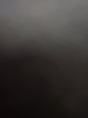 Chenelle R. review of Earl Grey Tea Leave (600g) image 1 out of 1