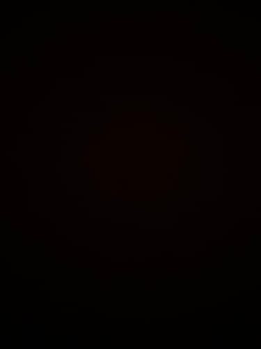 Chenelle R. review of Lychee Flavor Syrup (2.5kg) image 1 out of 1