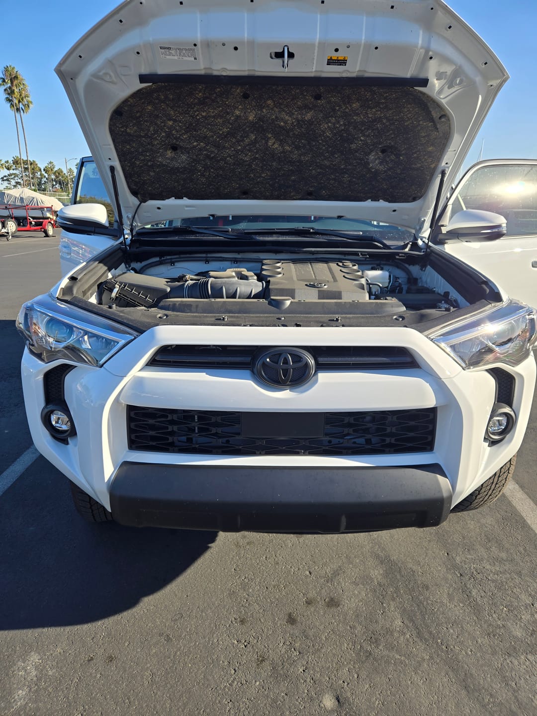 Customer photo review of 2014-2024 TOYOTA 4RUNNER TRD PRO GRILLE FIT FOR TOYOTA 4RUNNER
