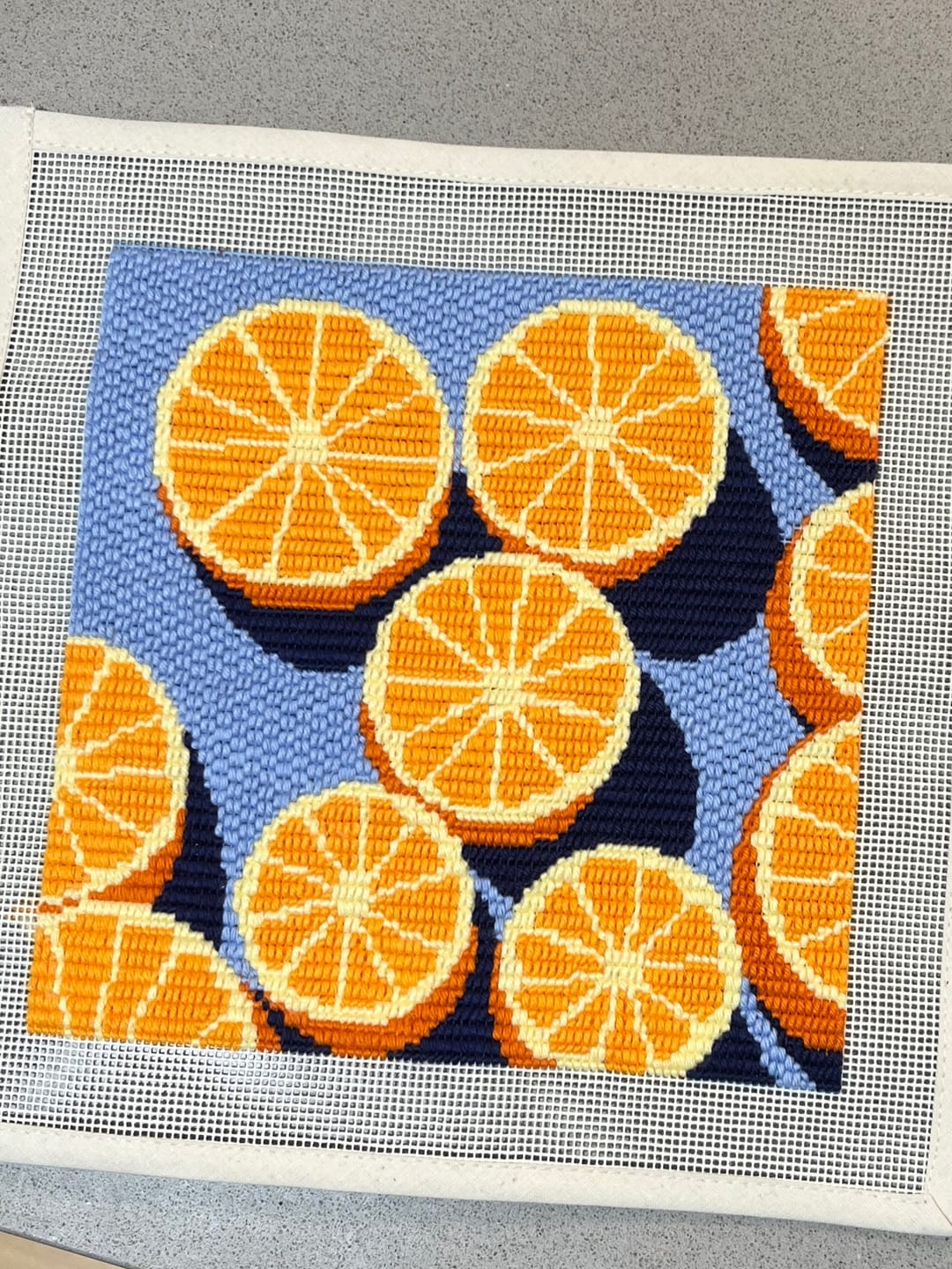 Customer photo review of Agrumes Needlepoint Kit