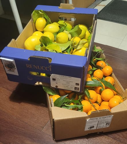 Sophie V. review of Clémentines Bio - Origine Corse image 1 out of 1