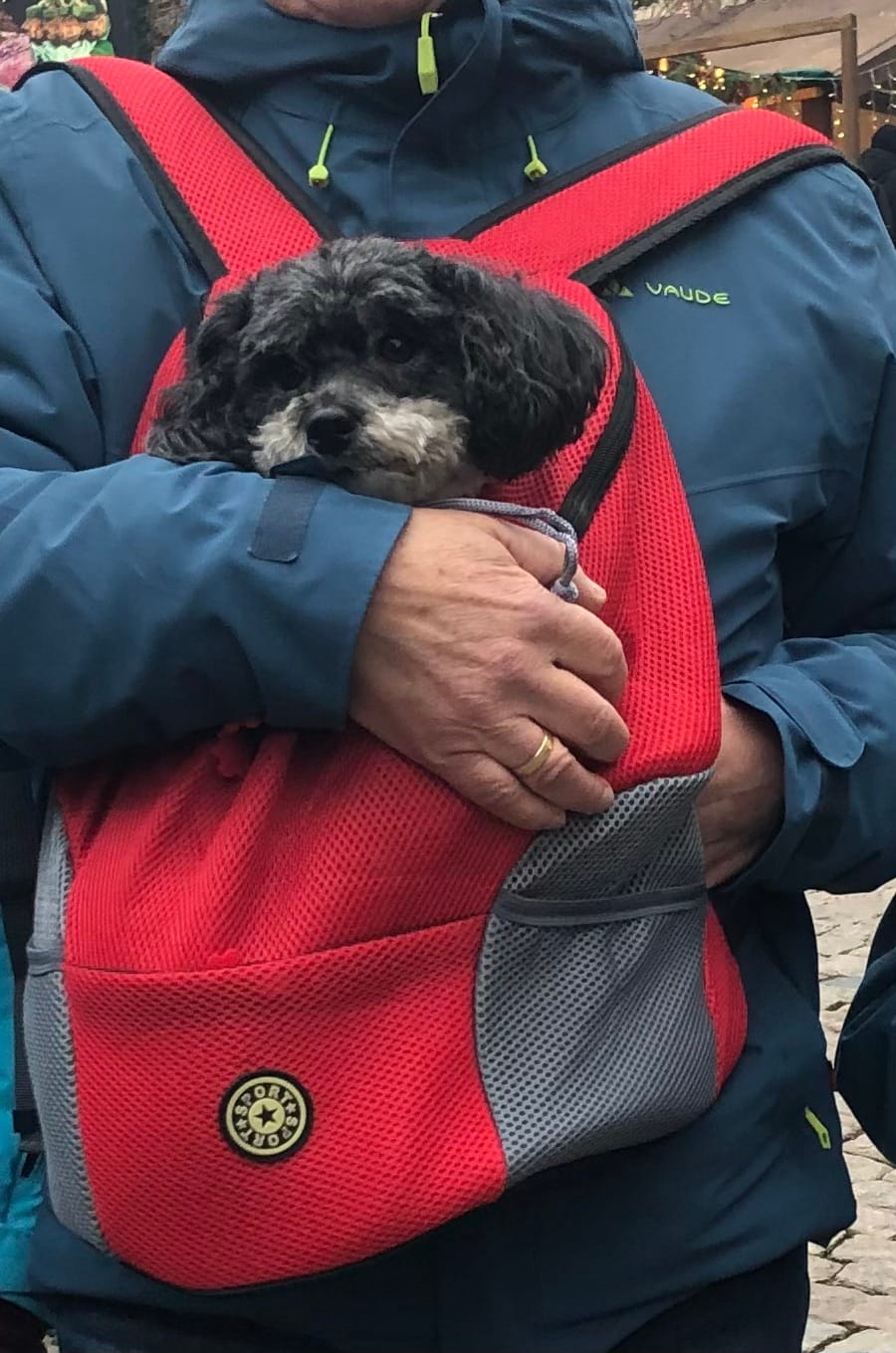 Customer photo review of Emmalove - Hunde-Rucksack