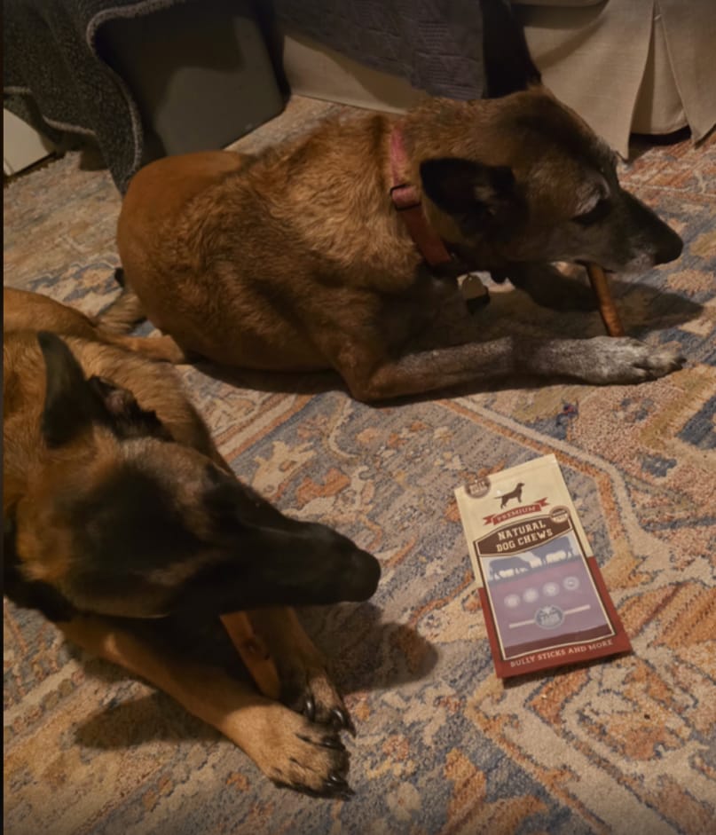 Customer photo review of 12 Inch Beef Jerky Strip