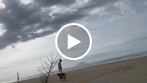 Customer video review of Exway Wave